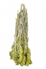 ELIES Řecký horský čaj - Hojník horský (Sideritis Scardica) 40g