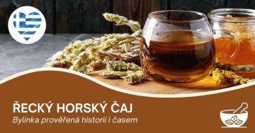 Řecký horský čaj (Hojník horský aneb Sideritis scardica)