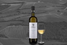 DOMAINE HATZIMICHALIS Malagousia Dryos bílé suché víno 750ml